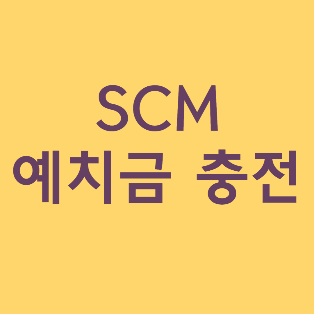 인디펍 SCM 예치금 충전